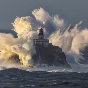 Meet your Posher, Sarona-lee